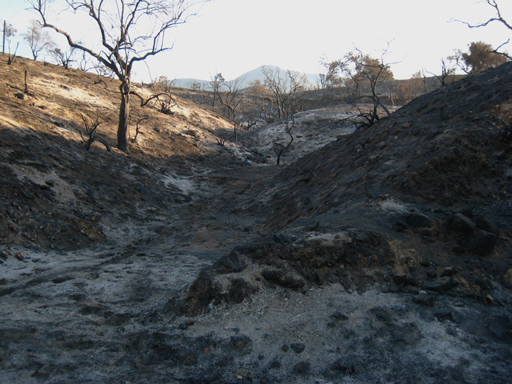 Hillside, Sept 12 2009