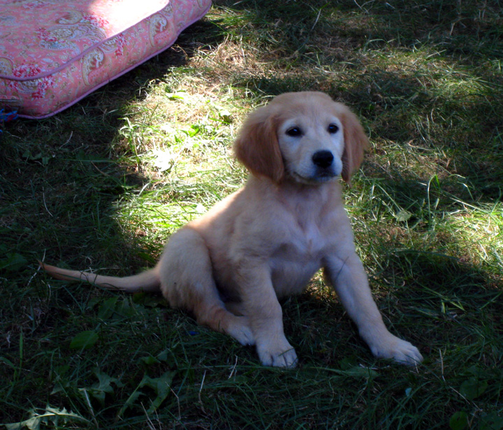 Did someone mention bacon?
