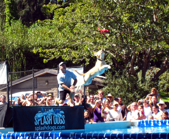 I beleeeeeeeve I can flyyyyyyyyyyyyyyyy